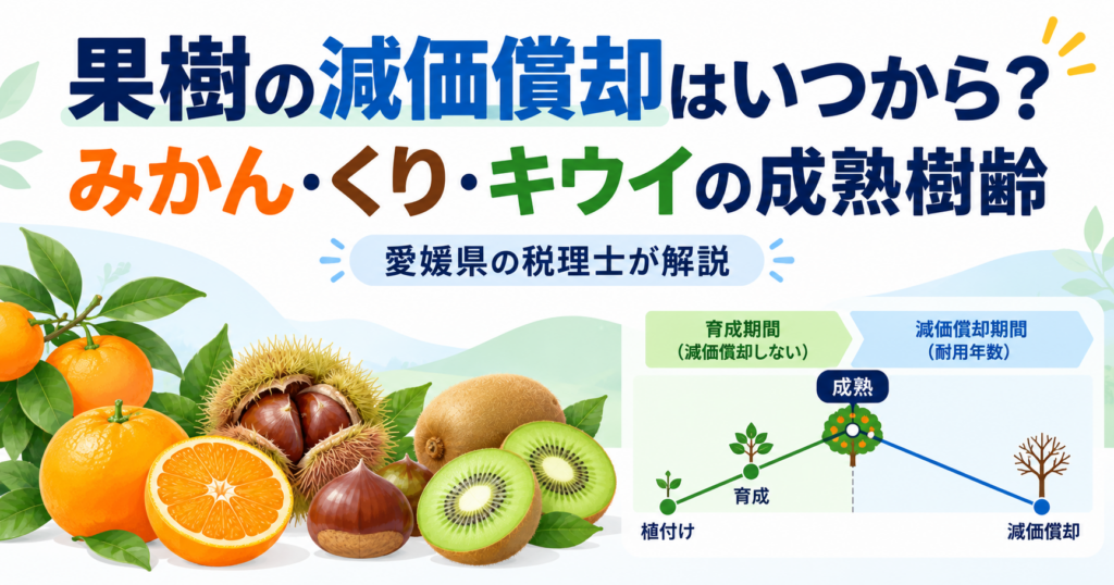 果樹の減価償却はいつから？みかん・くり・キウイの成熟樹齢【愛媛県の税理士が解説】